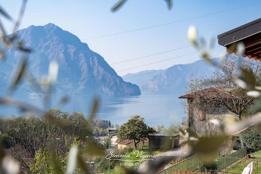 Il Giardino Di Laura Apartment คอสตา โวลปิโน ภายนอก รูปภาพ