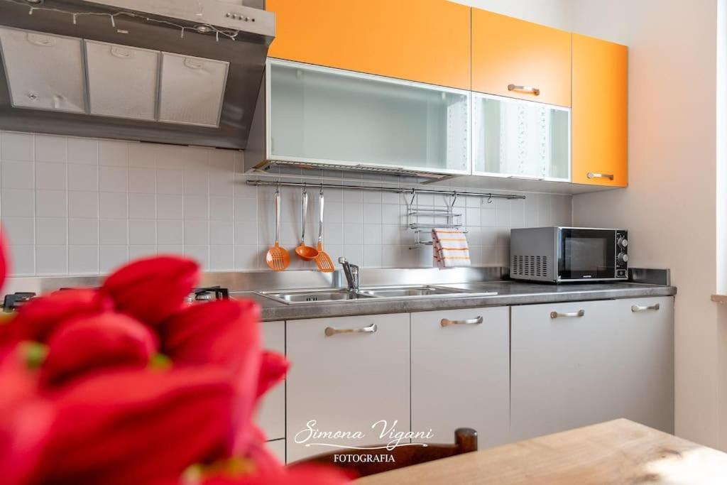 Il Giardino Di Laura Apartment คอสตา โวลปิโน ภายนอก รูปภาพ